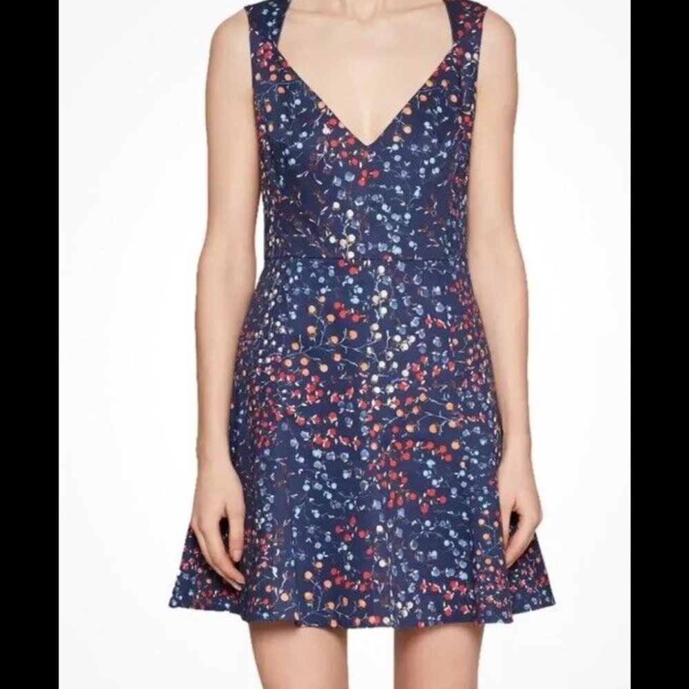 French connection Frances cotton dress